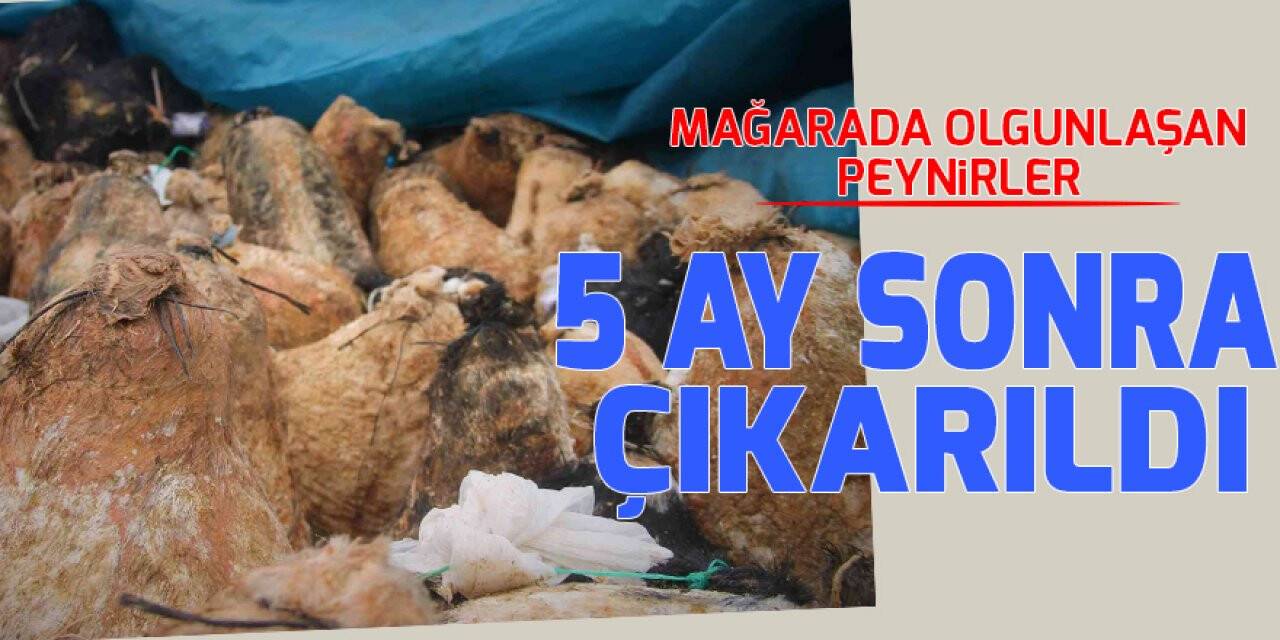 Konya'da mağarada olgunlaşan peynirler 5 ay sonra şölenle çıkarıldı