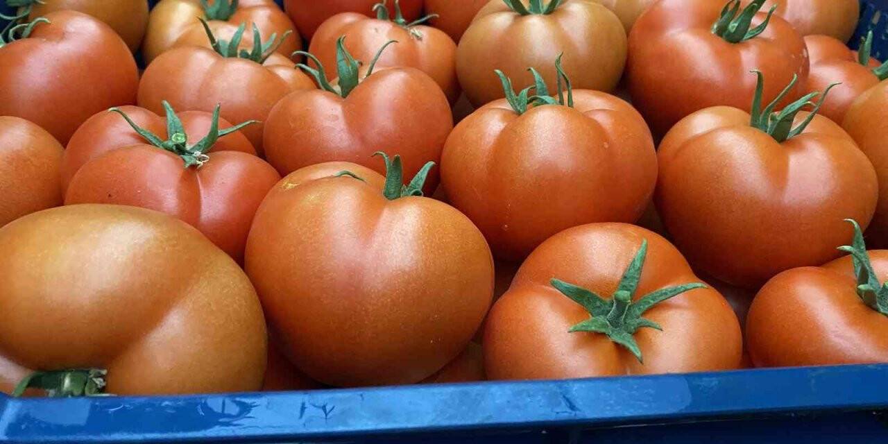 Domatesin fiyatı geçen yıla göre yüzde 63.98 arttı
