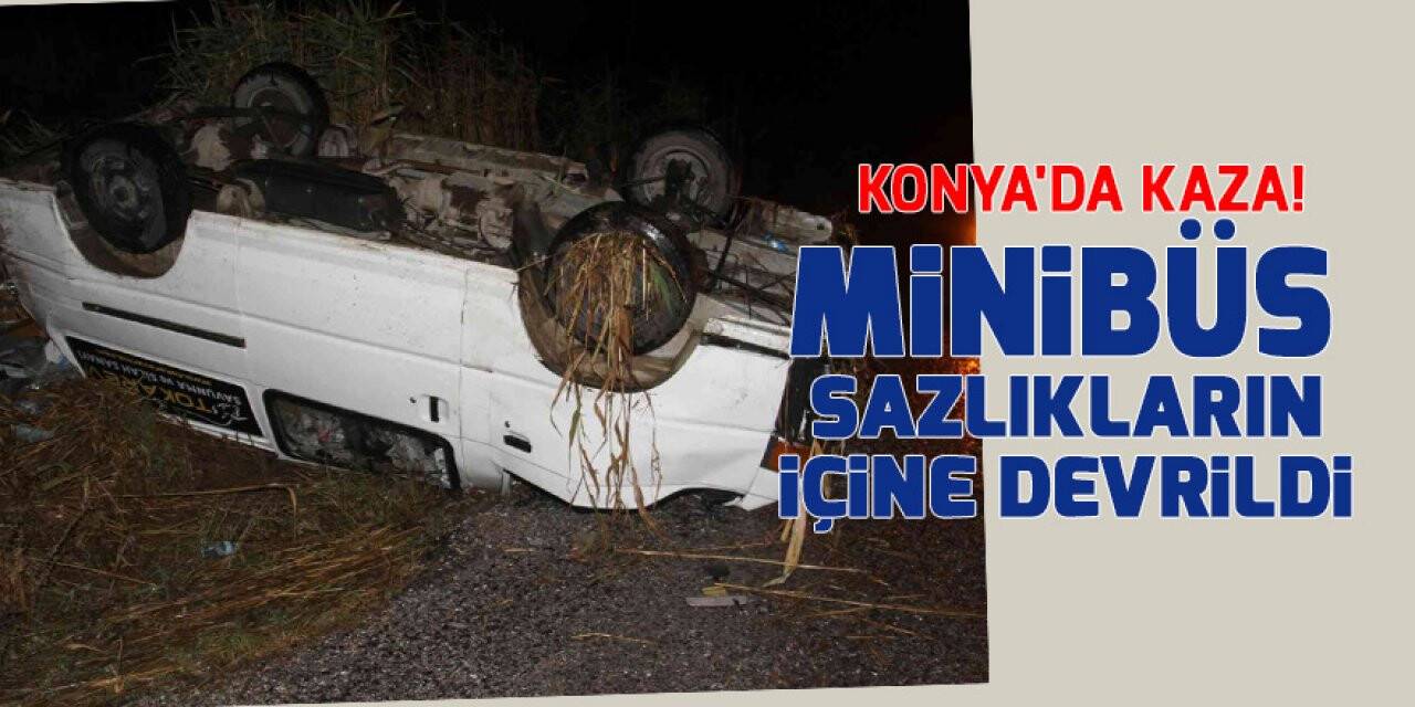 Konya'da kaza! Minibüs sazlıkların içine devrildi
