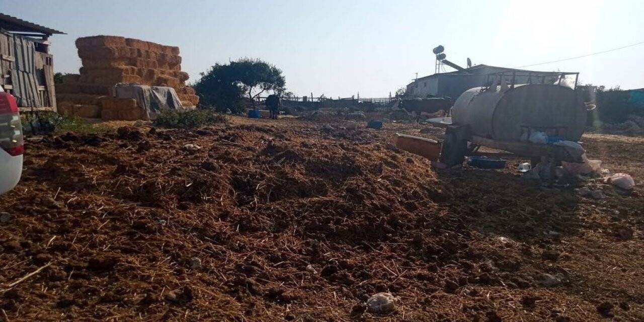 Didim’de karasineklere karşı ilaçlama çalışmaları gerçekleştiriliyor