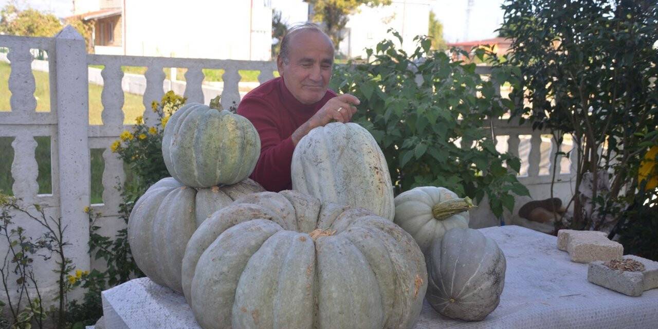 Yaklaşık 60 kilo ağırlığında bal kabağı yetiştirdi