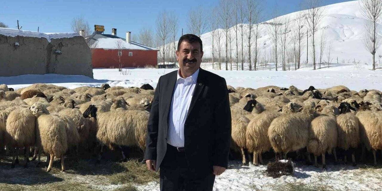 TÜDKİYEB Genel Başkanı Çelik: Kış aylarına mahsus yem desteği artırılmalıdır