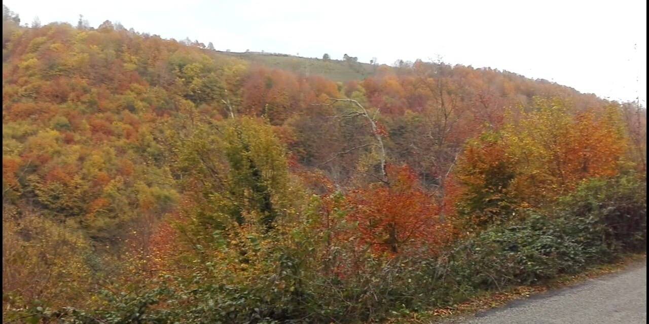 Ordu’da sonbahar güzelliği