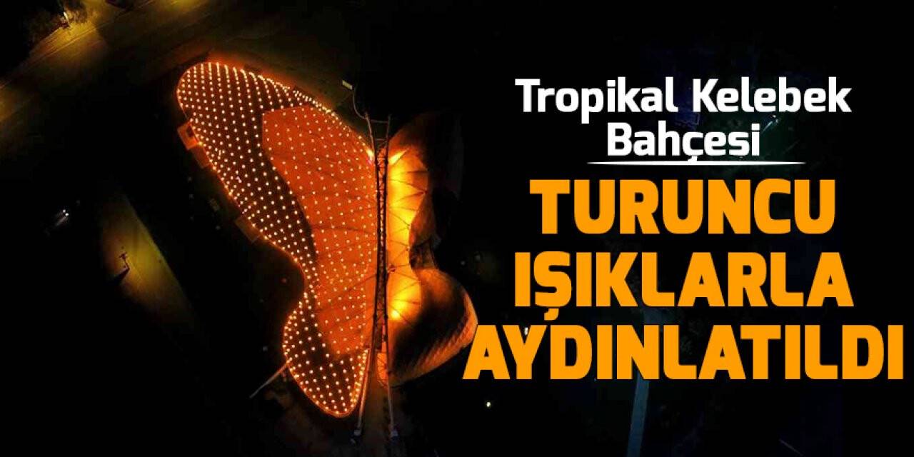 Tropikal Kelebek Bahçesi turuncu ışıklarla aydınlatıldı