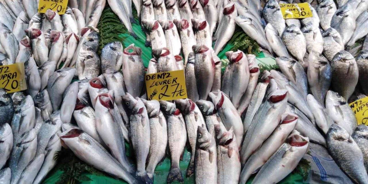Balık tezgahlarında lüfer balığı yerini hamsiye bıraktı