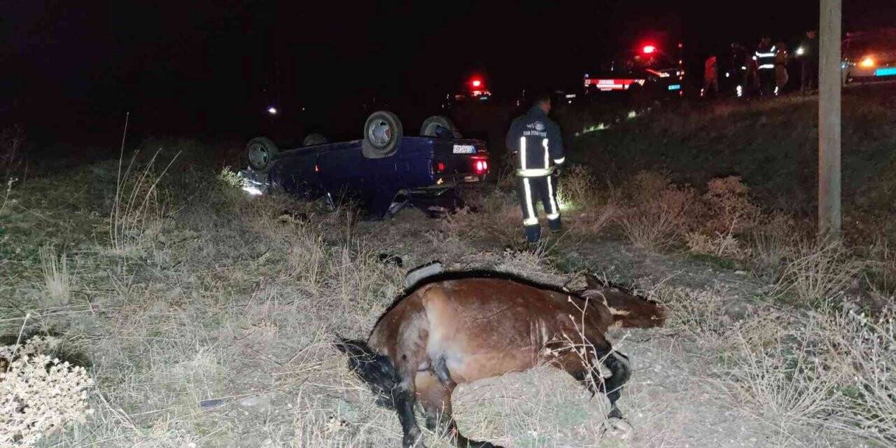 Başıboş ata çarpan otomobil takla attı: 1 ölü, 6 yaralı