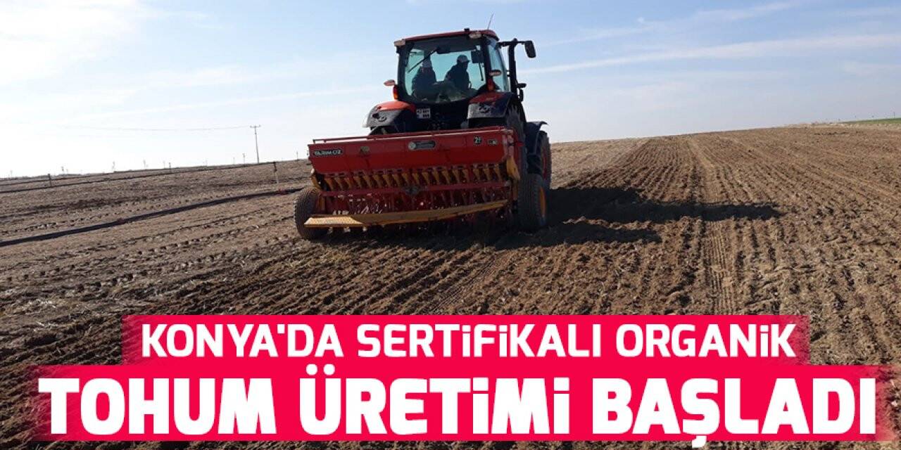 Konya'da sertifikalı organik tohum üretimi başladı