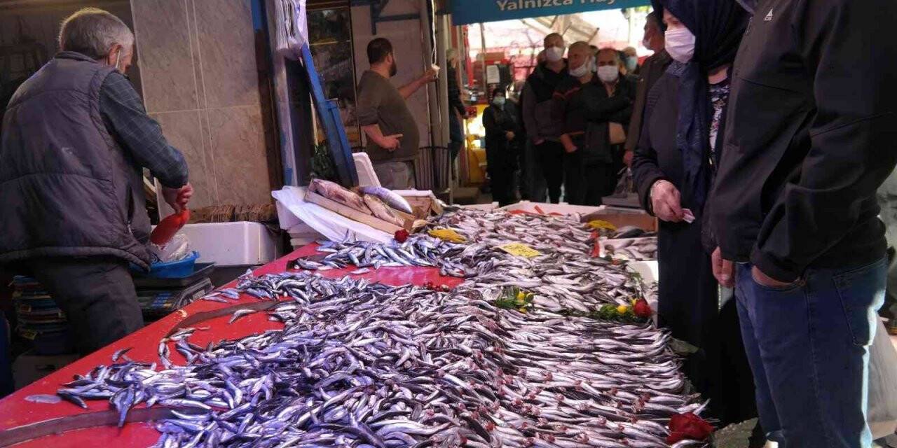 Kilosu 10 TL’ye düşen hamsiyi gören sıraya girdi