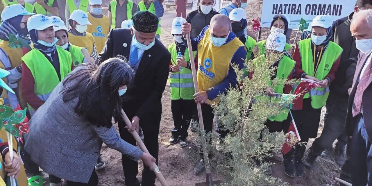 Mevlana Hatıra Ormanına Fidan Dikim Töreni gerçekleştirildi