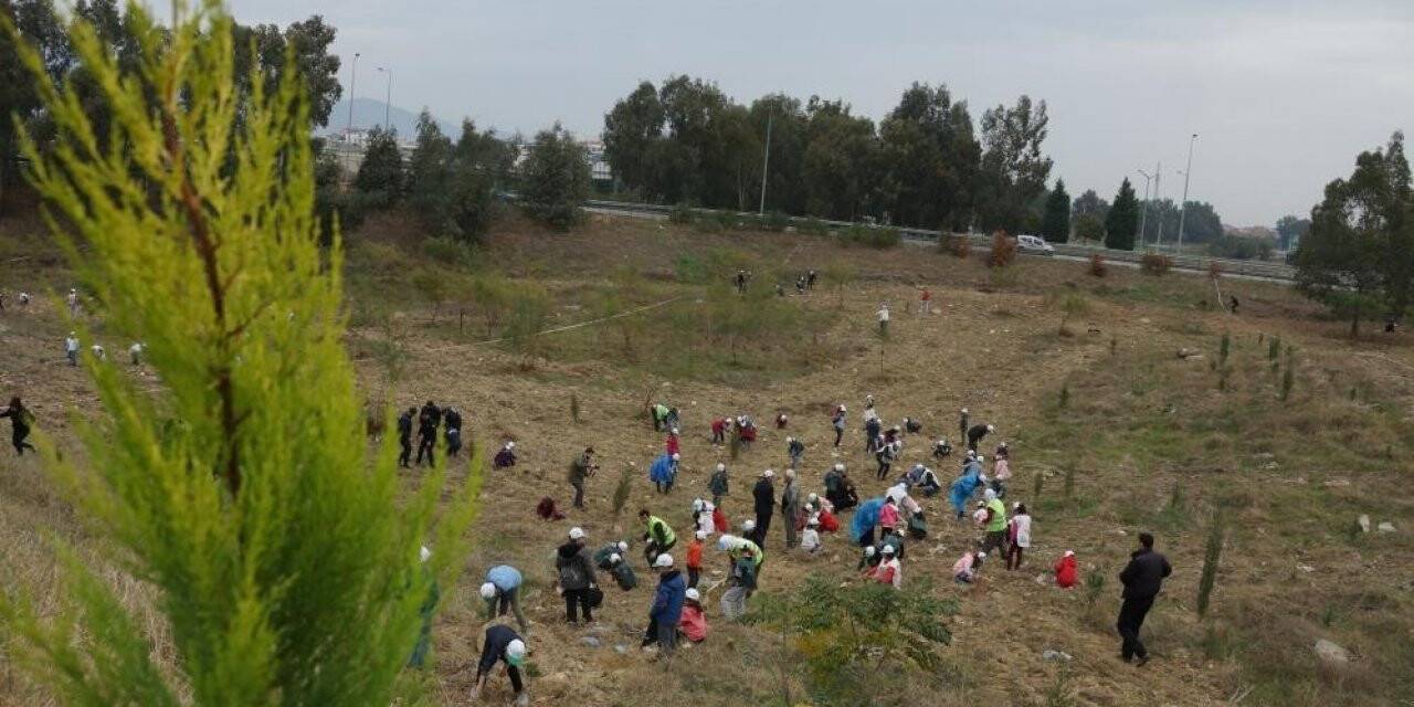 Aydın’da fidan dikim noktaları belli oldu