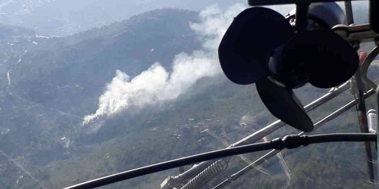 Muğla’da orman yangını
