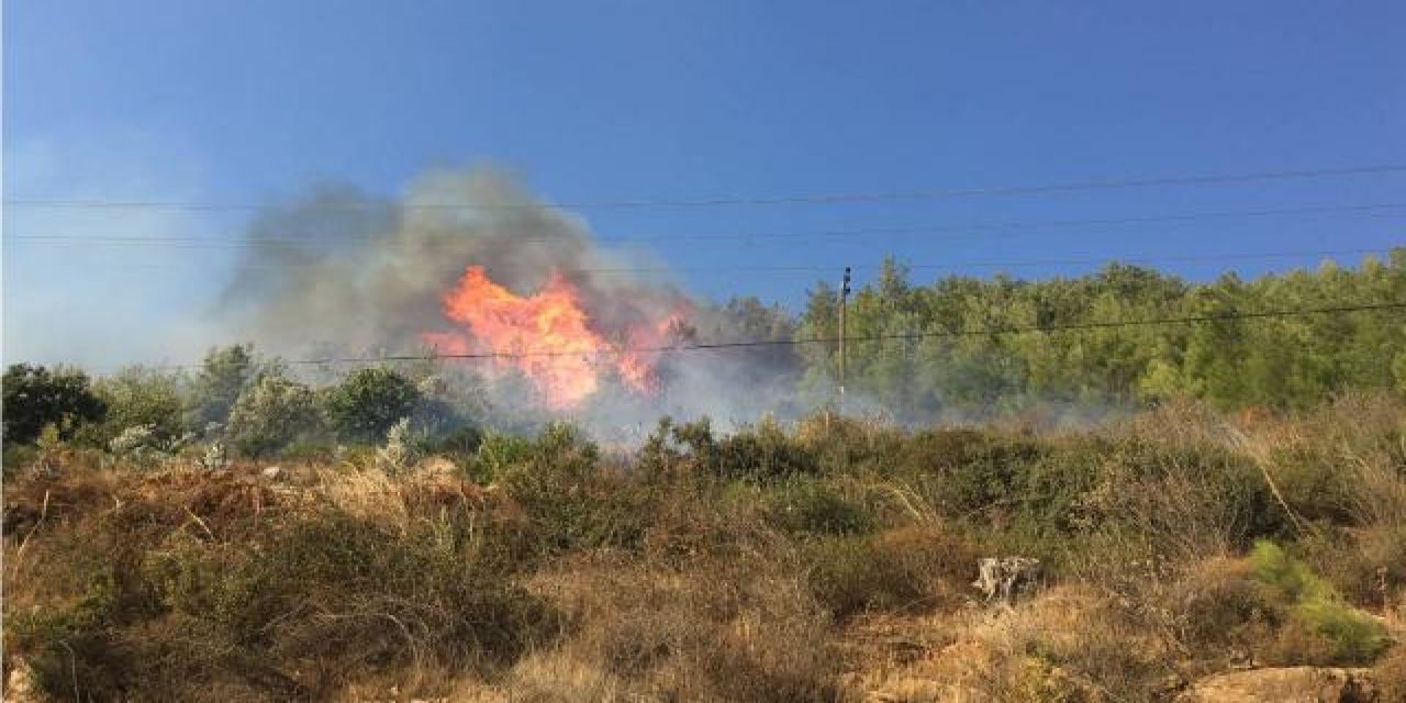 Mersin'de orman yangını: Müdahale ediliyor