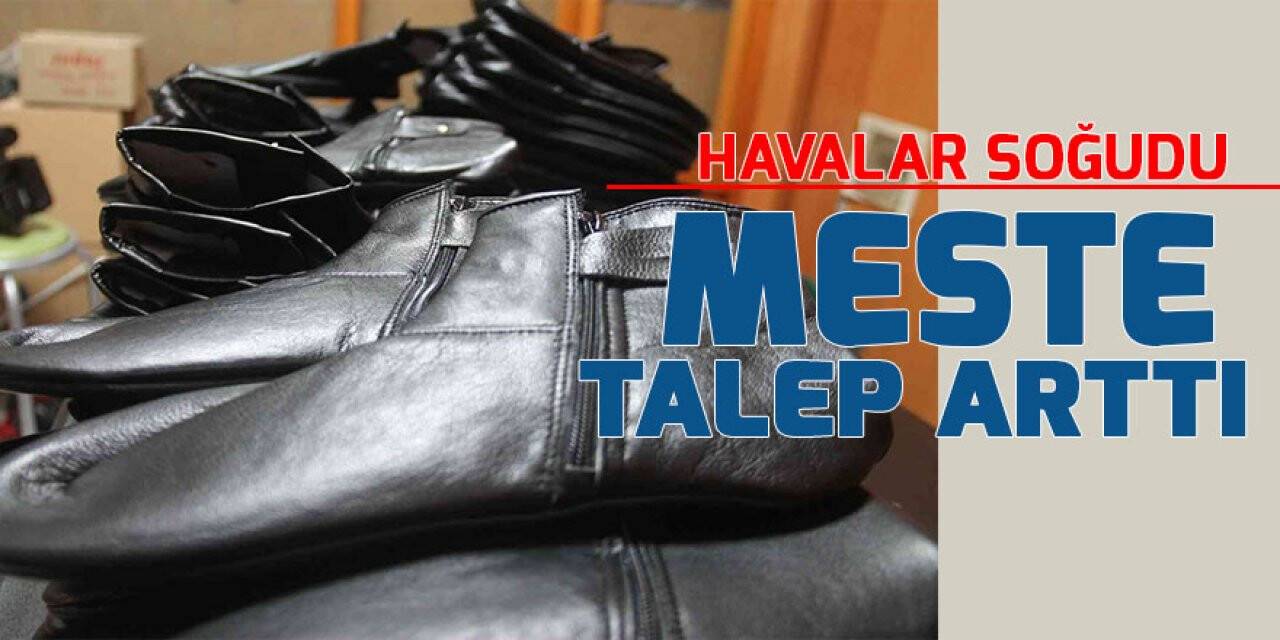 Havalar soğudu meste talep arttı