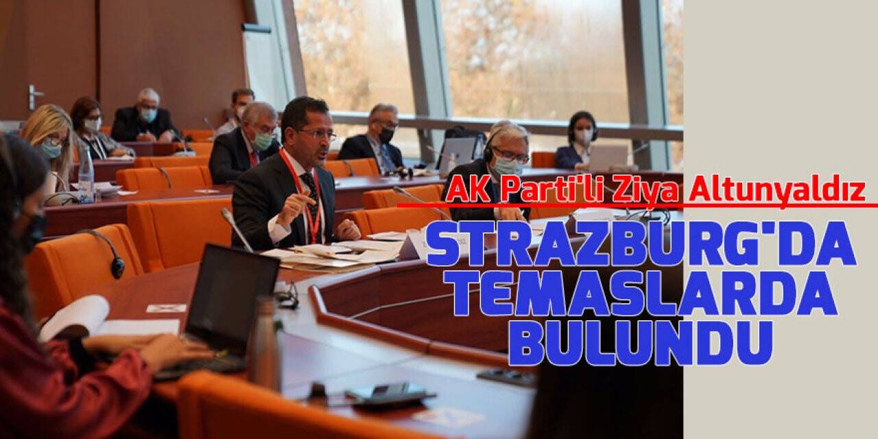 AK Parti'li Ziya Altunyaldız, Strazburg'da temaslarda bulundu