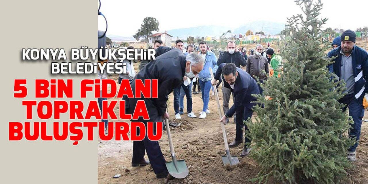 Konya büyükşehir Belediyesi 5 bin fidanı toprakla buluşturdu