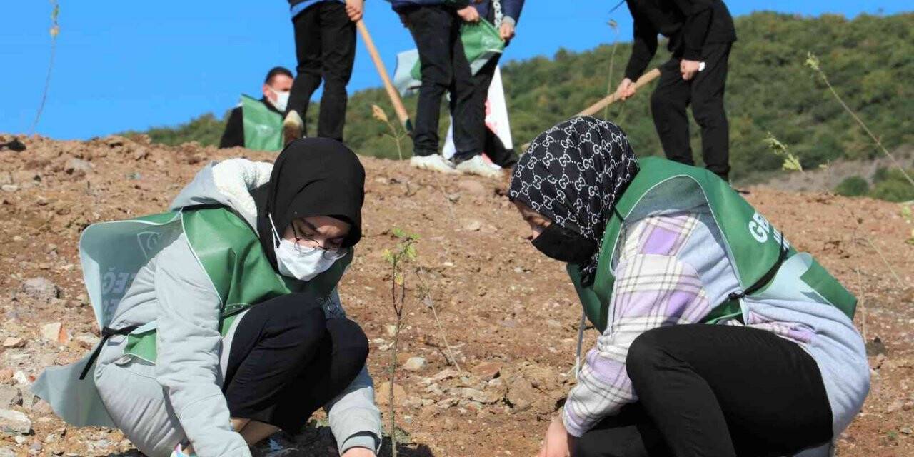Körfez’de 5 bin fidan dikildi