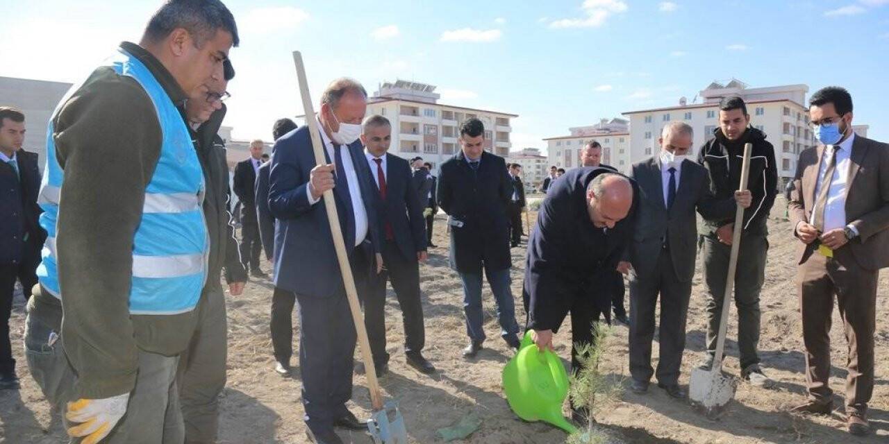 Ereğli’de binlerce fidan toprakla buluştu