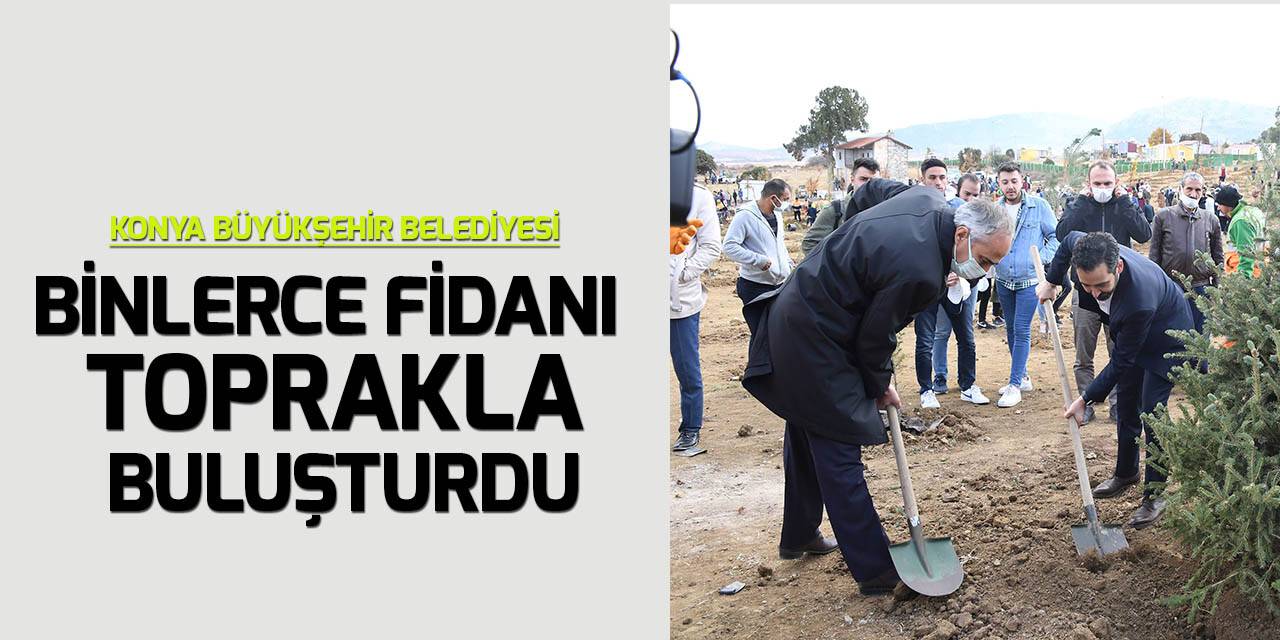 Konya Büyükşehir Belediyesi, 5 bin fidanı toprakla buluşturdu