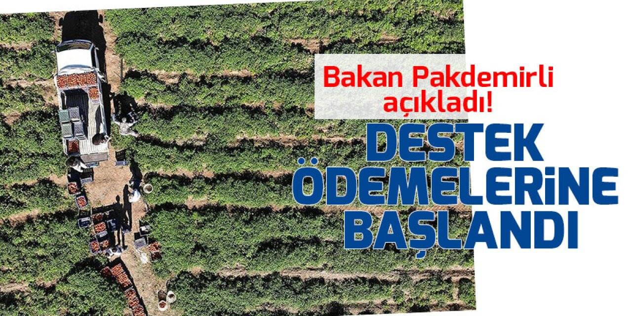 Bakan Pakdemirli açıkladı! Destek ödemelerine başlandı