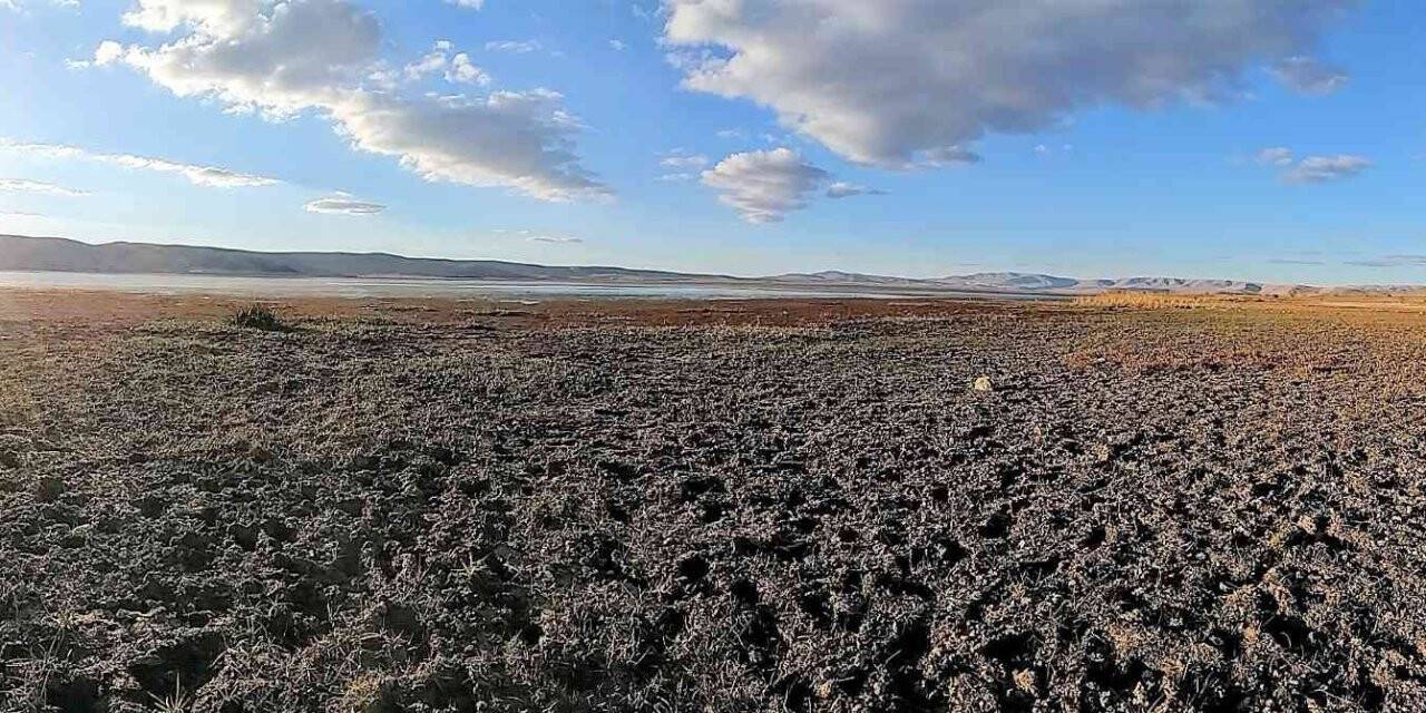 Gölde balık tuttukları yerler şimdi toprak oldu