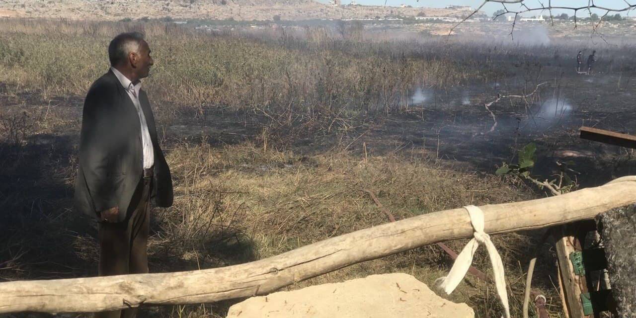 Antalya’da seraları tehdit eden sazlık yangını