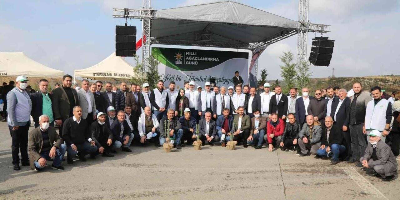Işıklar Köyü’nde 11 bin fidan dikildi