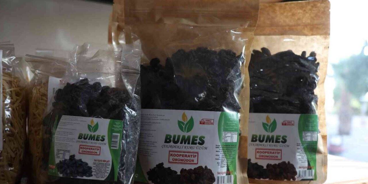 Aydın Büyükşehir Belediyesi’nden Buharkent üreticisine destek