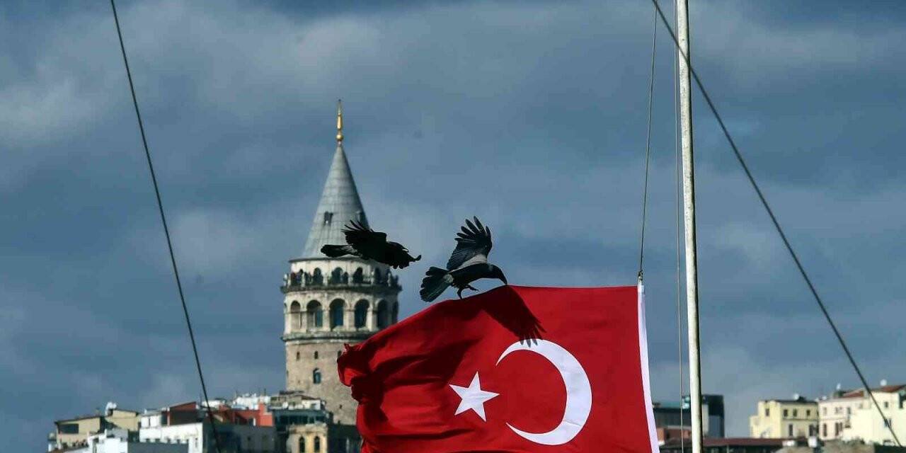Kuşlar fırtınadan korunmak için Türk bayrağına tutundu