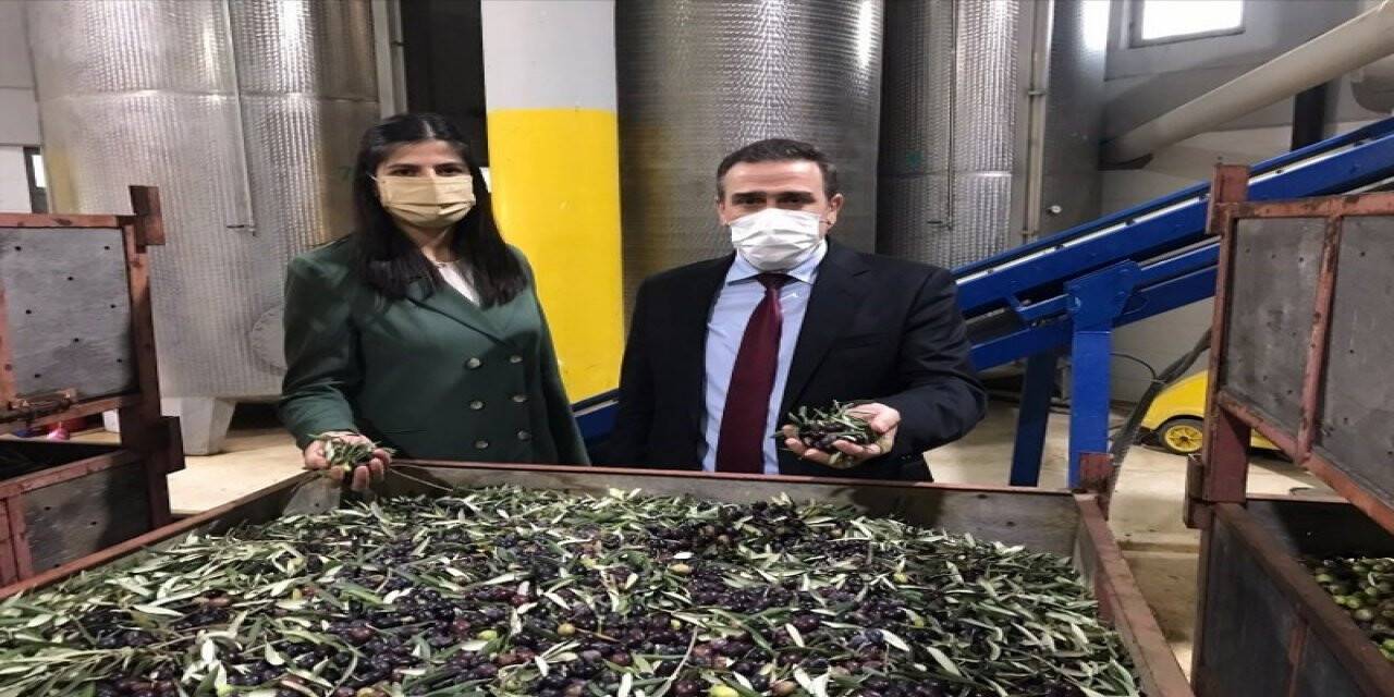 Burhaniye Kaymakamı zeytinyağı işletme ziyaretlerine devam ediyor