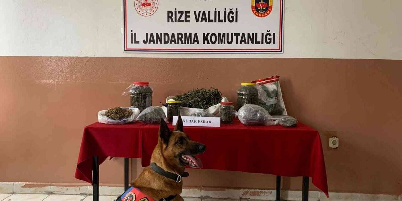 Rize’de uyuşturucu operasyonu