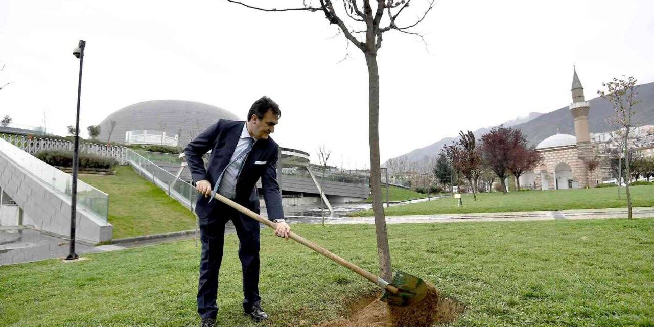 Yeşil Bursa’ya Osmangazi katkısı