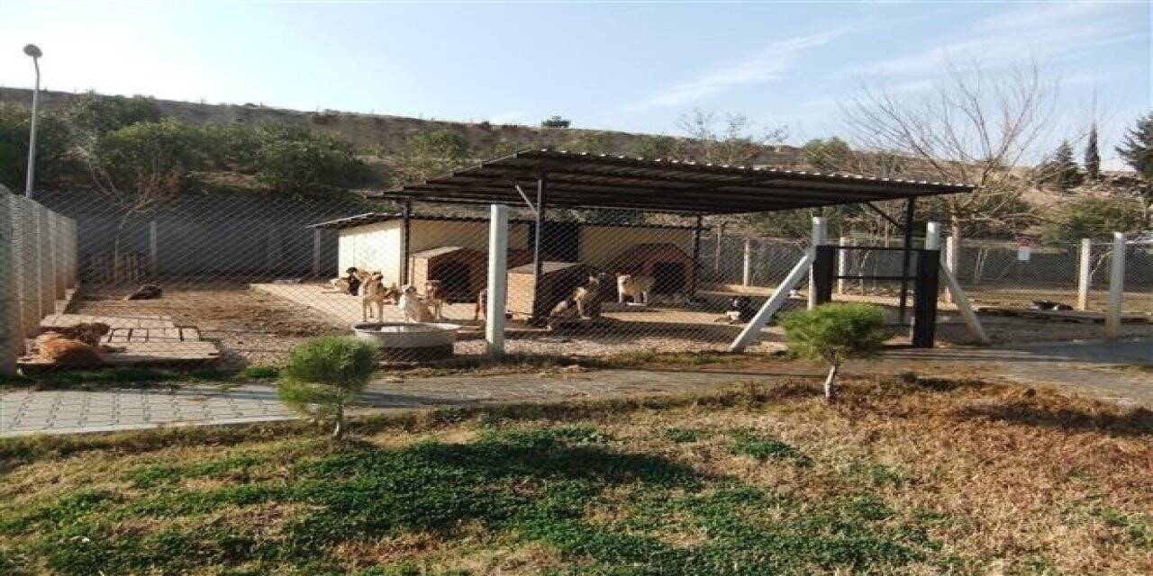 Emet Belediyesi’nin geçici hayvan barınağı çalışmaları sürüyor