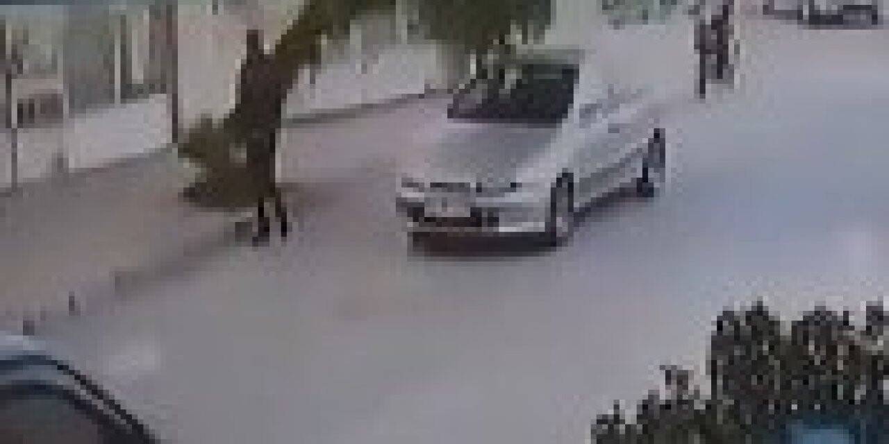 Devrilen ağacın altında kalmaktan son anda kurtuldu