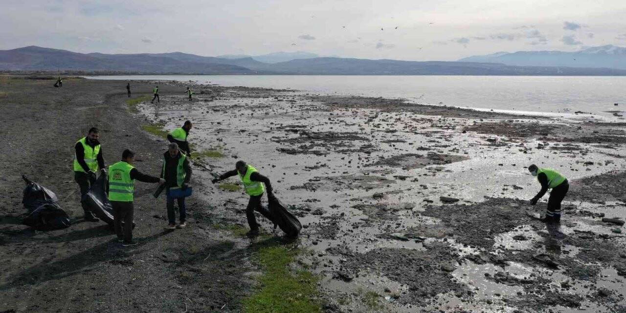 Metrelerce geri çekilen Van Gölü sahilinde 40 ton çöp toplandı