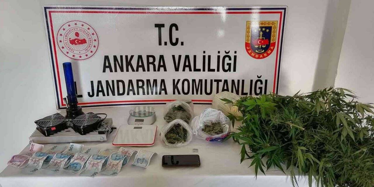Ankara’da jandarmadan uyuşturucu operasyonu