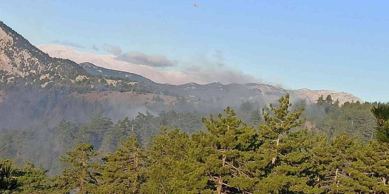 Adana’da orman yangını