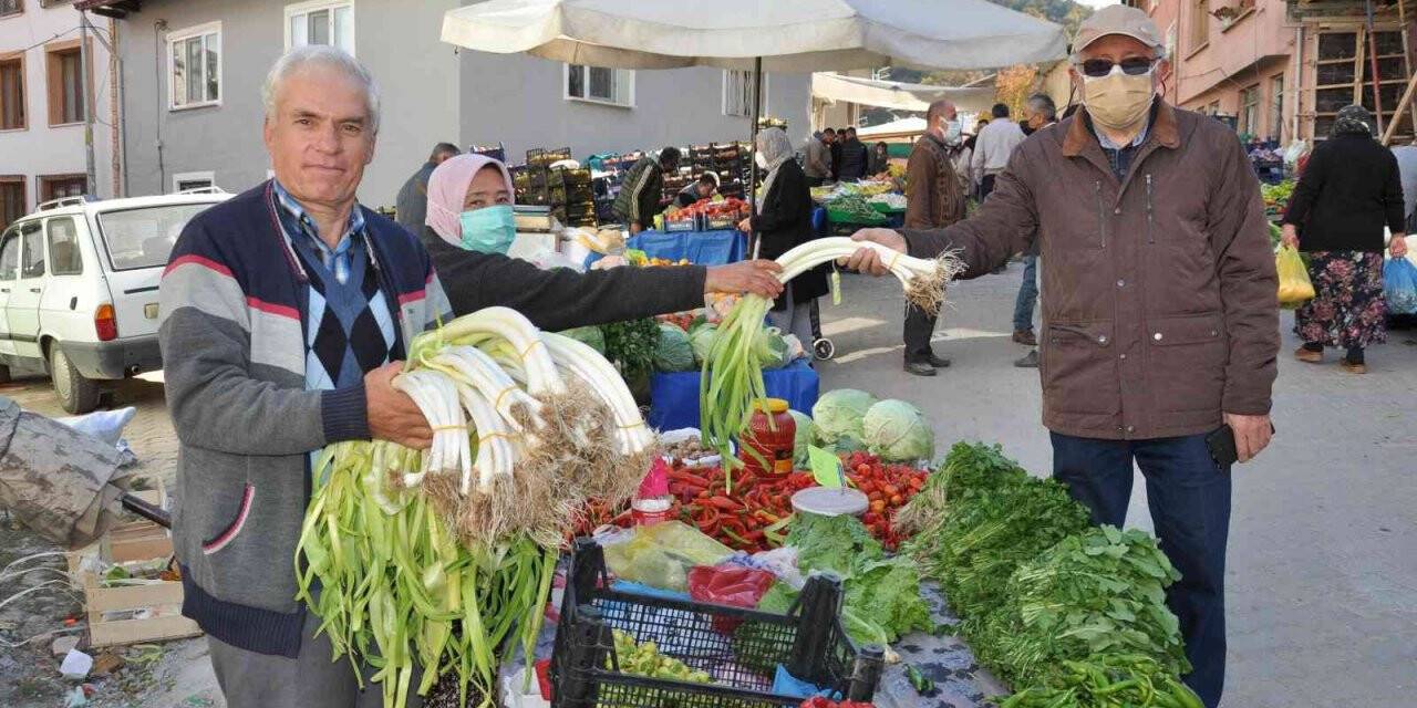 150 yıllık ata tohumlarıyla üretiyorlar