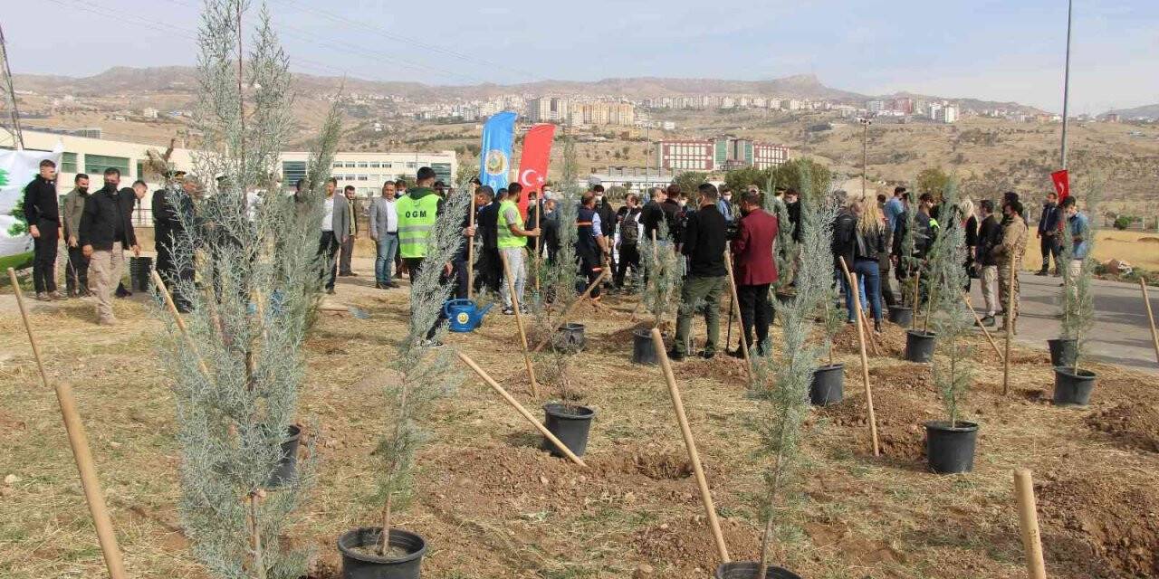 Şırnak’ta 56 bin fidan toprakla buluştu