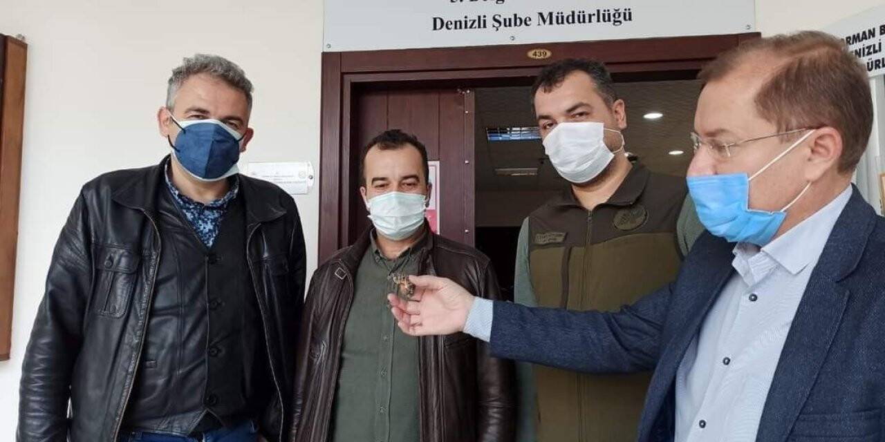 Beyaz cennette bulunan siyam ikizi kara kaplumbağaları koruma altına alındı