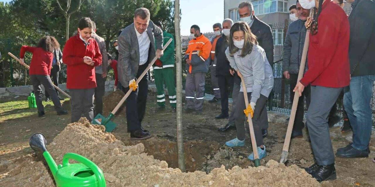 Gaziosmanpaşa’da çocuklar, Milli Ağaçlandırma Günü’nde fidan dikti