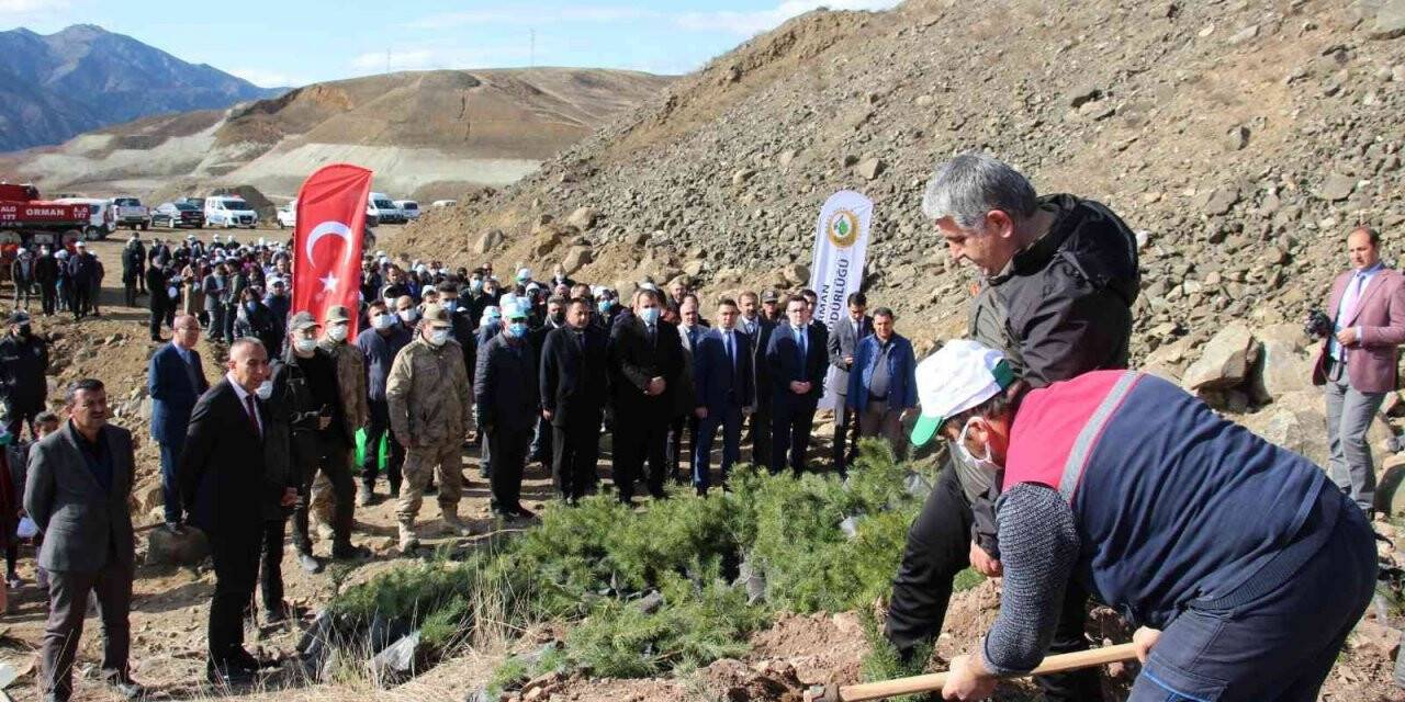 Oltu’da 6 bin fidan toprakla buluştu