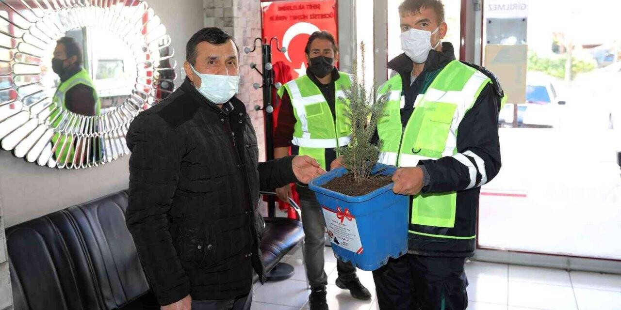 Talas Belediyesi’nden 2 bin 23  mavi ladin