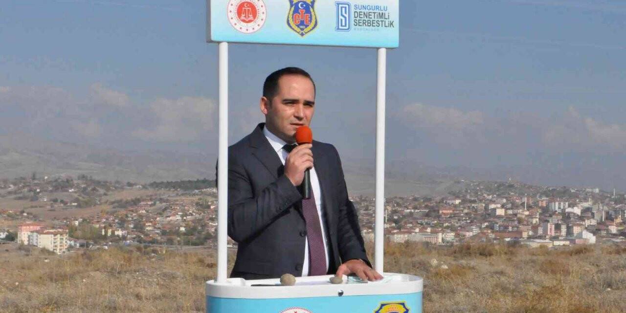 Sungurlu adalet ormanına 300 fidan dikildi