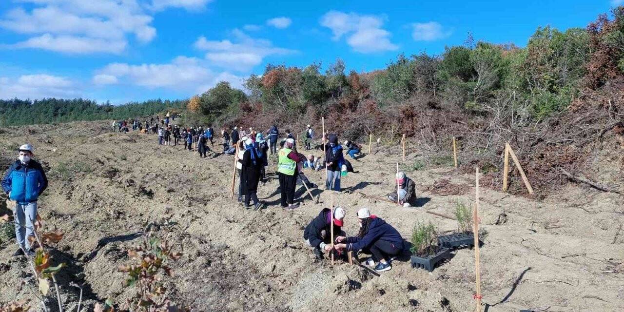 Bu da fidan dikme ordusu