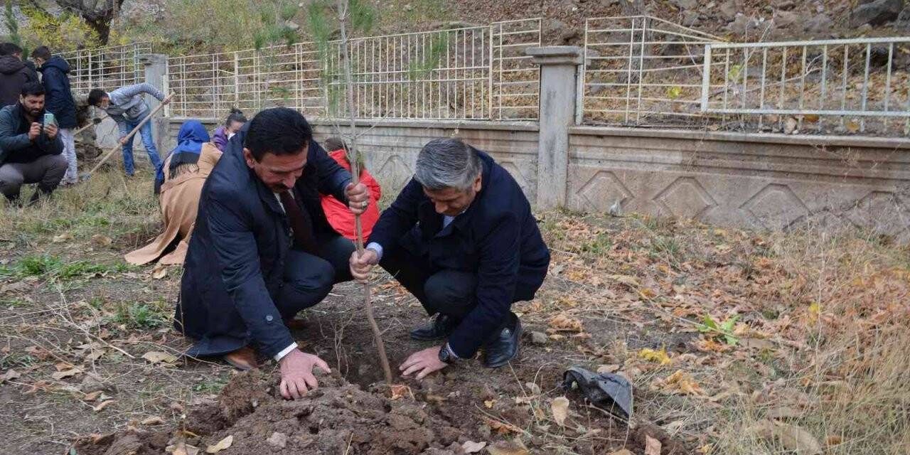 Kato Dağı eteklerindeki okullar yeşilleniyor