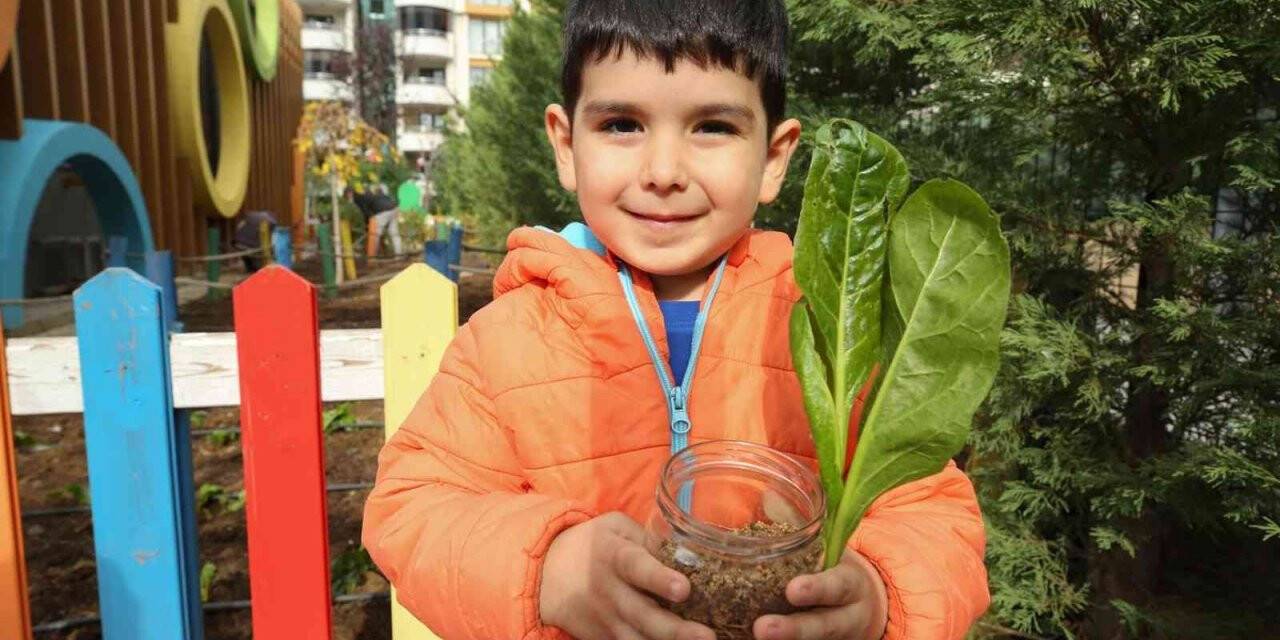 Minik çocuklar fide ve tohumları toprakla buluşturdu