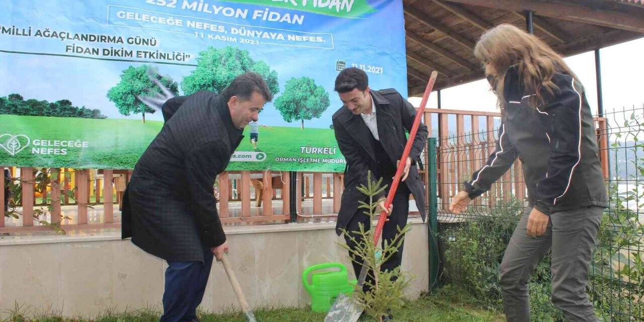 Türkeli’de "11 Kasım Milli Ağaçlandırma Günü" etkinliği