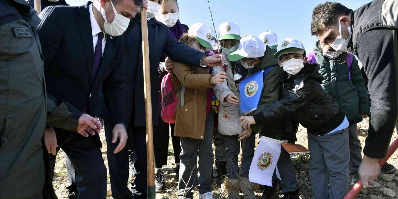 Gümüşhane’de Milli Ağaçlandırma Gününde binlerce fidan toprakla buluştu