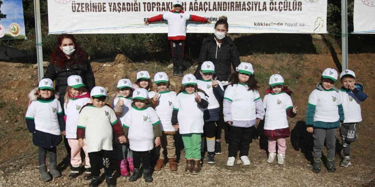 Bursa’da binlerce fidan toprakla buluştu