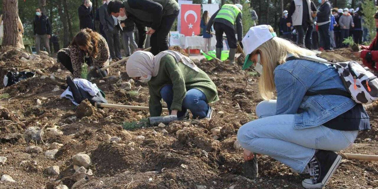 İzmir’de 65 bin fidan toprakla buluştu